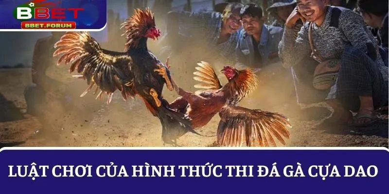 Luật chơi của hình thức đá gà cựa dao tại BBET