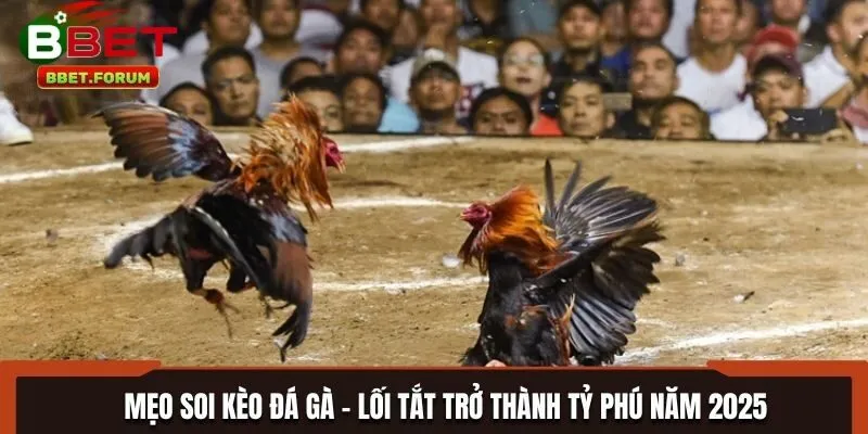 Mẹo Bắt Kèo Đá Gà BBET trong lúc trận đấu đang diễn ra cũng cực kỳ quan trọng