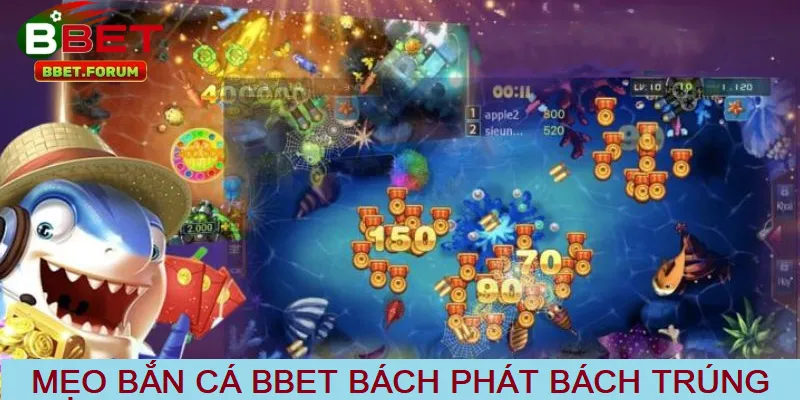 Sử dụng mẹo và chiến thuật để săn cá bách phát bách trúng